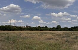 Teren EV și IV cu casă, 29.600 mp, utilități și acces facil, Albești