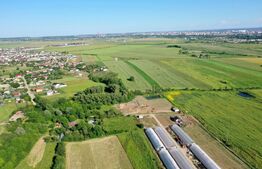 Teren EV și IV cu casă, 29.600 mp, utilități și acces facil, Albești