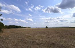 Teren EV și IV cu casă, 29.600 mp, utilități și acces facil, Albești