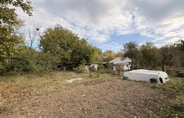 Teren EV și IV cu casă, 29.600 mp, utilități și acces facil, Albești