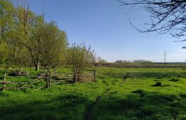 Teren EV și IV cu casă, 29.600 mp, utilități și acces facil, Albești