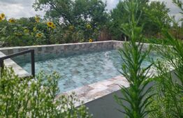 Teren EV și IV cu casă, 29.600 mp, utilități și acces facil, Albești