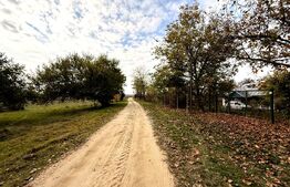Teren EV și IV cu casă, 29.600 mp, utilități și acces facil, Albești