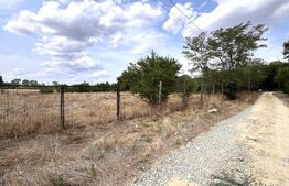 Teren EV și IV cu casă, 29.600 mp, utilități și acces facil, Albești