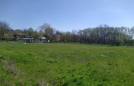 Teren EV și IV cu casă, 29.600 mp, utilități și acces facil, Albești