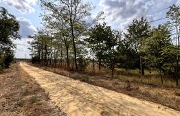 Teren EV și IV cu casă, 29.600 mp, utilități și acces facil, Albești