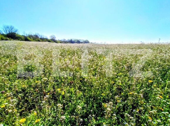 Teren de vânzare Nord-Vest - 189993TV | BLITZ Craiova | Poza7