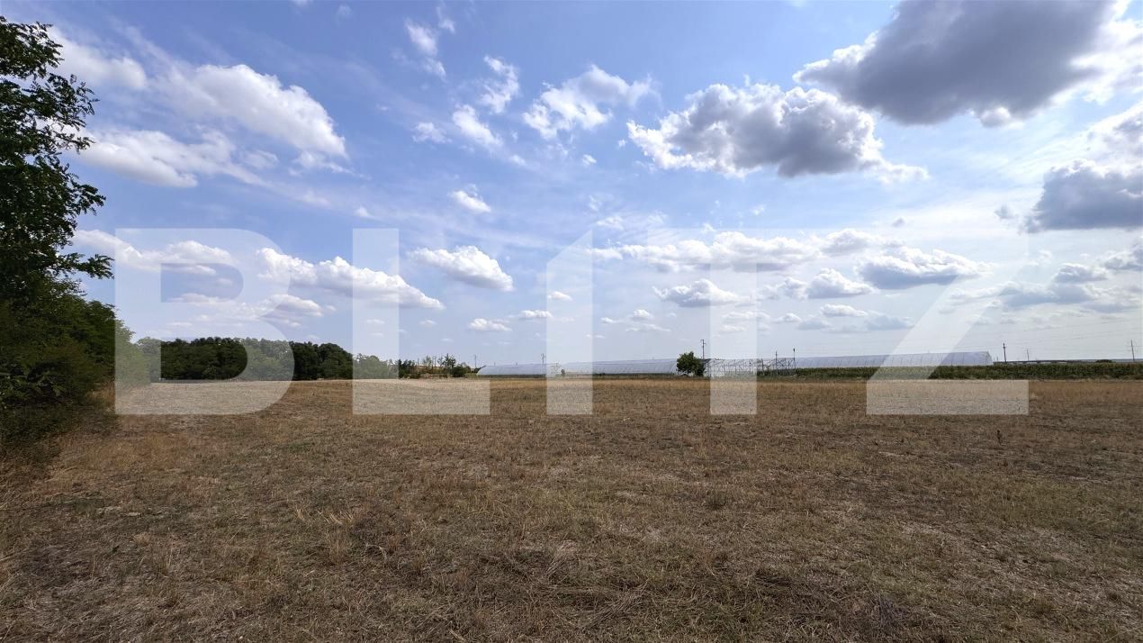 Teren de vânzare Nord-Vest - 189993TV | BLITZ Craiova | Poza4