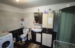 Gospodarie deosebita, casa de locuit, spatiu comercial, 155 mpu si 200mp teren 