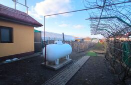 Gospodarie deosebita, casa de locuit, spatiu comercial, 155 mpu si 200mp teren 