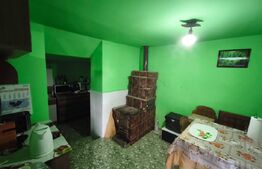 Gospodarie deosebita, casa de locuit, spatiu comercial, 155 mpu si 200mp teren 