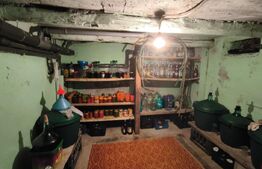 Gospodarie deosebita, casa de locuit, spatiu comercial, 155 mpu si 200mp teren 