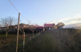 Gospodarie deosebita, casa de locuit, spatiu comercial, 155 mpu si 200mp teren 