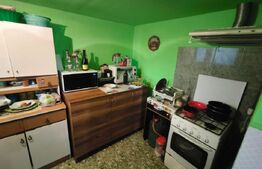 Gospodarie deosebita, casa de locuit, spatiu comercial, 155 mpu si 200mp teren 