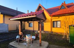 Gospodarie deosebita, casa de locuit, spatiu comercial, 155 mpu si 200mp teren 