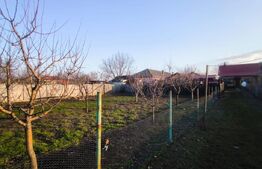 Gospodarie deosebita, casa de locuit, spatiu comercial, 155 mpu si 200mp teren 