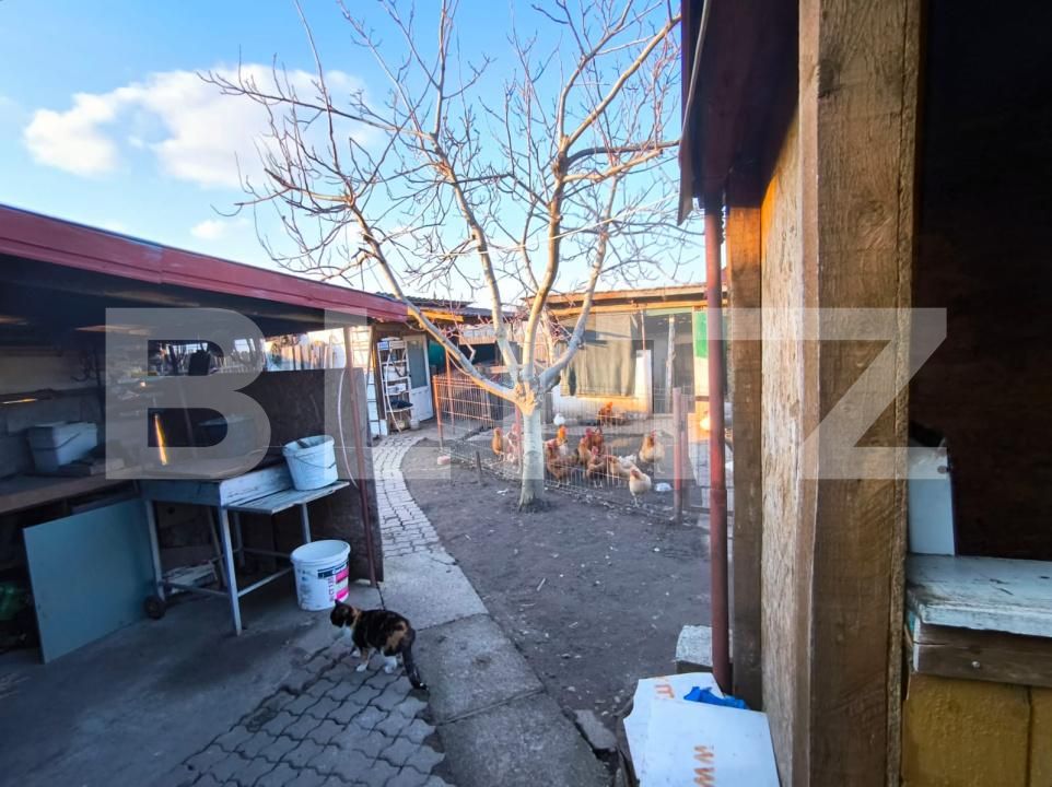 Casa de vânzare 4 camere Exterior Est - 189999CV | BLITZ Craiova | Poza19