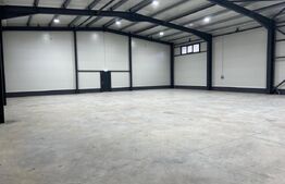 Spațiu industrial de închiriat Exterior Est - 209632SII | BLITZ Craiova | Poza4