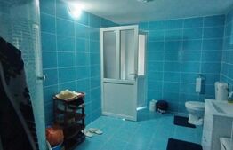 Casa P+1+M, 185 mp, teren 590 mp, Leamna de jos