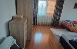 Casa P+1+M, 185 mp, teren 590 mp, Leamna de jos