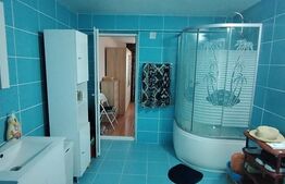 Casa P+1+M, 185 mp, teren 590 mp, Leamna de jos