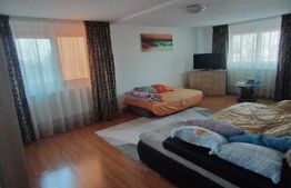 Casa P+1+M, 185 mp, teren 590 mp, Leamna de jos