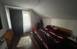 Casa P+M, 160 mp utili, 500 mp teren, zona Damila