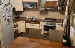 Casa P+M, 160 mp utili, 500 mp teren, zona Damila