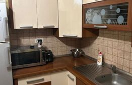 Casa P+M, 160 mp utili, 500 mp teren, zona Damila