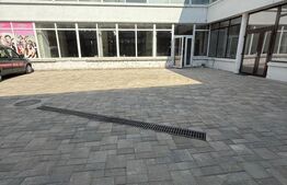 Spatiu comercial 600 mp, zona Bulevardul Nicolae Titulescu