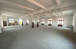 Spatiu comercial, 1830 mp, zona Ultracentral