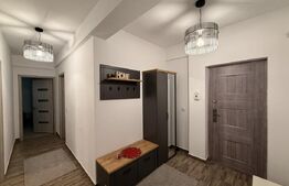 Apartament 2 camere, 50 mp, zona Calea Severinului