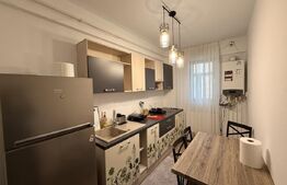 Apartament 2 camere, 50 mp, zona Calea Severinului