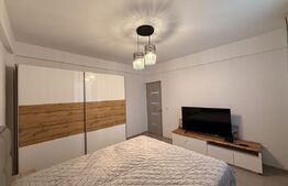 Apartament 2 camere, 50 mp, zona Calea Severinului