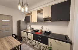 Apartament 2 camere, 50 mp, zona Calea Severinului