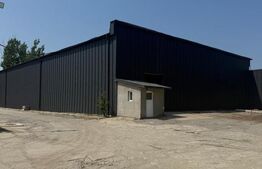 Hala industriala 1500 mp, Pielesti