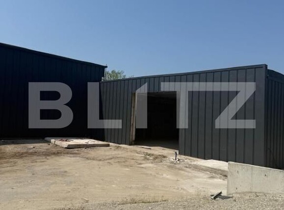 Spațiu industrial de închiriat Pielești - 190129SII | BLITZ Craiova | Poza2