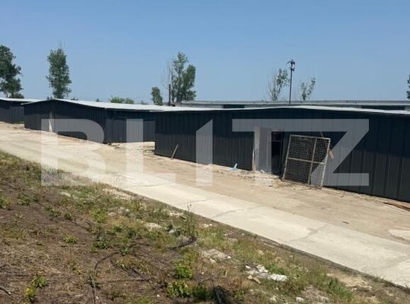 Spațiu industrial de închiriat Pielești - 190129SII | BLITZ Craiova | Poza6