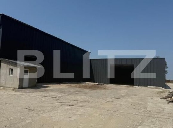 Spațiu industrial de închiriat Pielești - 190129SII | BLITZ Craiova | Poza4