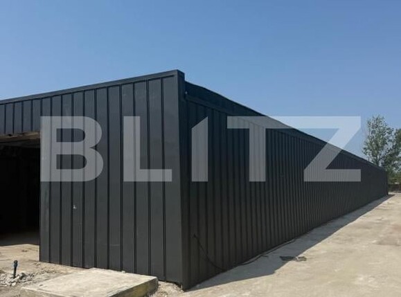 Spațiu industrial de închiriat Pielești - 190129SII | BLITZ Craiova | Poza1
