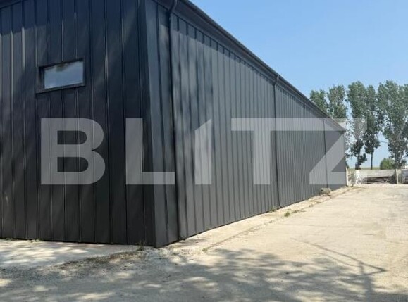 Spațiu industrial de închiriat Pielești - 190129SII | BLITZ Craiova | Poza5