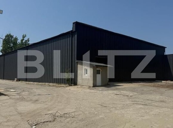 Spațiu industrial de închiriat Pielești - 190129SII | BLITZ Craiova | Poza3