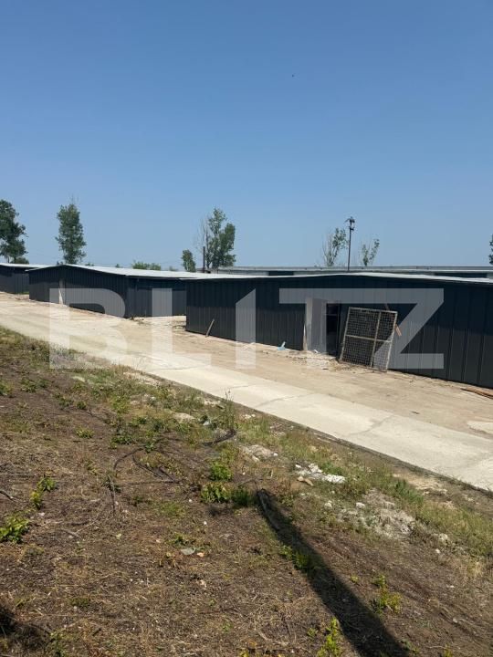 Spațiu industrial de închiriat Pielești - 190129SII | BLITZ Craiova | Poza6