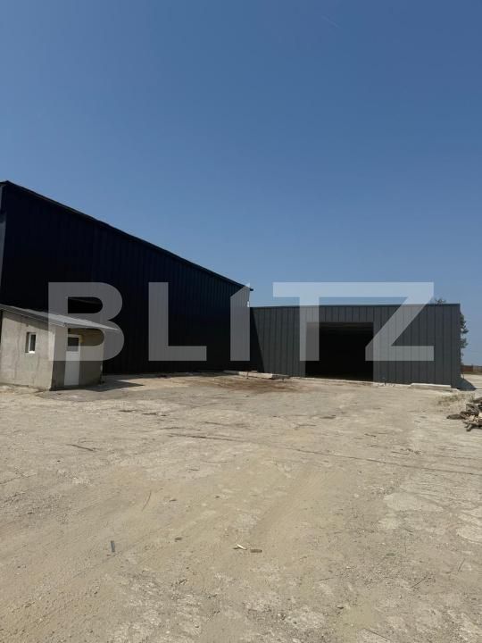 Spațiu industrial de închiriat Pielești - 190129SII | BLITZ Craiova | Poza4