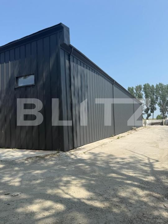 Spațiu industrial de închiriat Pielești - 190129SII | BLITZ Craiova | Poza5