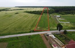 Teren intravilan, 10000 mp, zona Robanesti