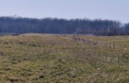 Teren intravilan, 10000 mp, zona Robanesti