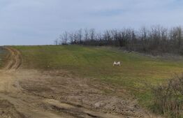 Teren intravilan de vânzare 6050 mp – Leșile