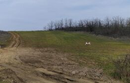 Teren de vânzare Carcea  - 191759TV | BLITZ Craiova | Poza3