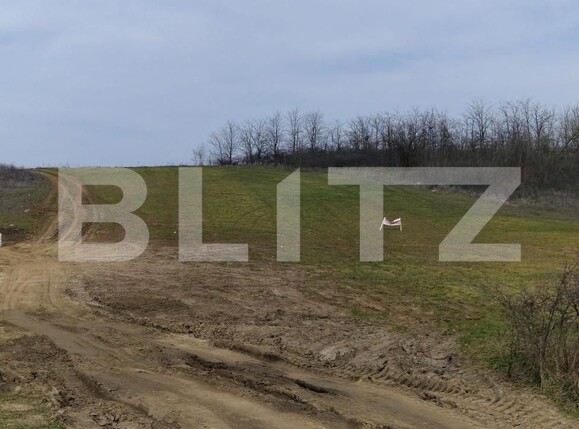 Teren de vânzare Simnicu de Sus  - 190138TV | BLITZ Craiova | Poza1